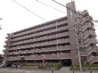 リベラル綾瀬