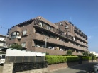 日神パレステージ愛甲石田