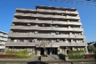 ライトウェーブ愛甲石田