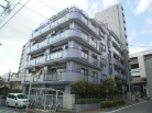 セザール板橋