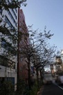 広尾エイティ