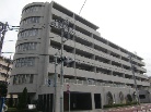 ライオンズマンション中野平和の森公園