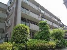 インペリアル立教前