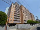 南青山第一マンションズ