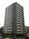 OXC[g얃z