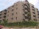 フォルスコート学芸大学