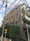 パロス駒場東大前