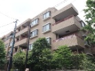 ヒルズ学芸大学