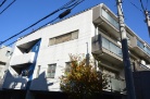 SVnEX