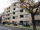 サンフル碑文谷碑さくら通りノースサイド