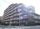 サンクタス大島EX