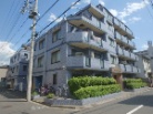 セザール西大島