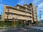 セルテシティオ亀有
