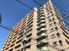 レクセルマンション亀有