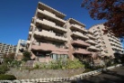 リバーパーク汐入けやき通り北十番館
