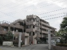 ルイシャトレ分倍河原