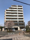 アデニウム府中白糸台