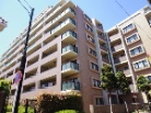 ヒルズ新所沢緑町