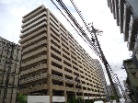 アデニウム千葉みなと