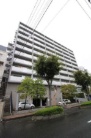 シティ光陽朝霞泉水