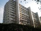 志木ニュータウン