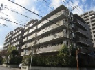 志木ニュータウンガーデンプラザ参番館