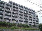 エコヒルズ横浜