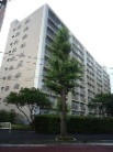 市公社ドリームハイツ