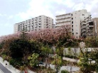 グランドメゾン東戸塚