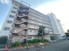 鶴川ハイツ