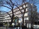 アンバサダー調布