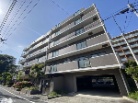 ベルス調布