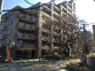ライオンズガーデン調布ヶ丘