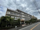 ソフトタウン調布