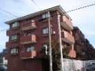 ZPRO}V