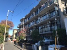キャニオングランデ武蔵野