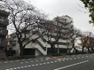 プレシス武蔵野中央公園