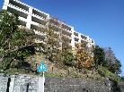 コルティーレ山手町