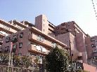 ラムセス横浜星川