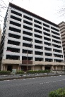 アデニウム横浜反町