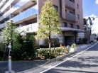 コスモシティ横浜石川町