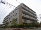 藤和シティホームズ武蔵小杉陣屋町