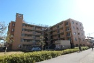 ダイアパレス草加氷川町