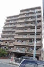 ベルドゥムール草加氷川町
