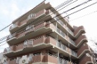 ベルドゥムール草加新田