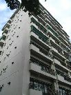 桜上水山森マンション