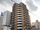 ダイアパレス錦糸町第5