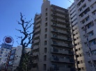 サンマンションアトレ大山