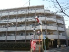 日神デュオステージ練馬北町