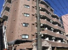アイフェリーク中野